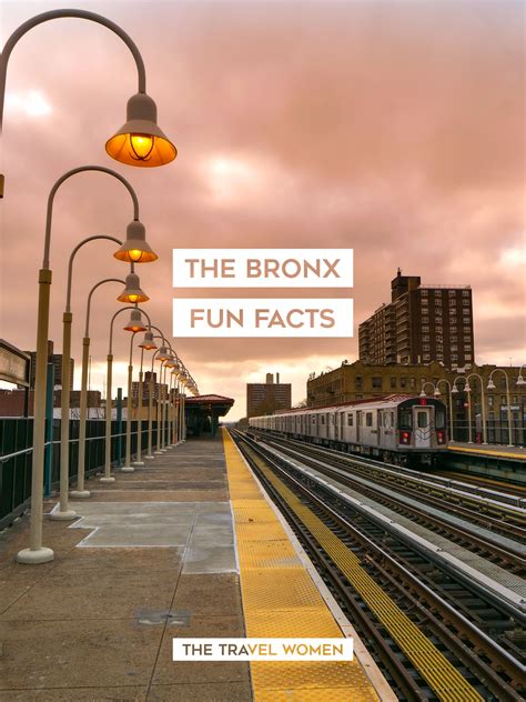 Forgotten History of The Bronx - The Travel Women Bronx Zoo, Nyc Facts, Nyc Travel Guide, Travel ...