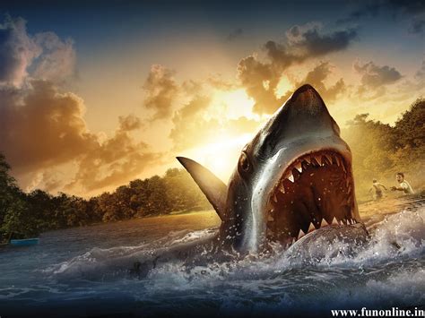 Free Great White Shark Wallpaper - WallpaperSafari