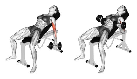 4 Best Incline Dumbbell Curl Alternatives (with Pictures!) - Inspire US