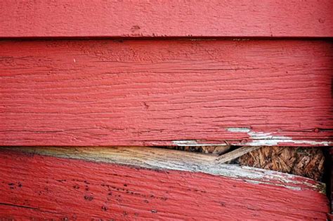 Replacing Rotten Wood Siding | A Homeowners Guide