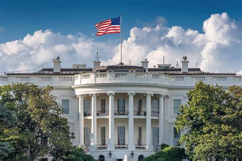 Presidential Pups: Dogs In The White House | Highland Canine Training