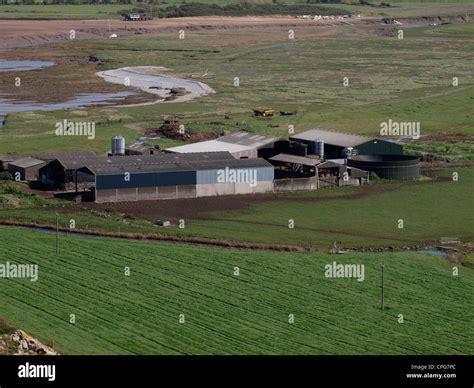 Somerset farm, UK Stock Photo - Alamy