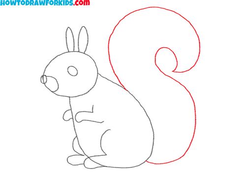 Cute Squirrel Drawing