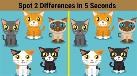 Spot the Difference: Can you spot 2 differences between the two cat images in 5 seconds?