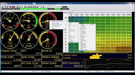 VemsTune VEMS Standalone Tuning Software Demo video - YouTube