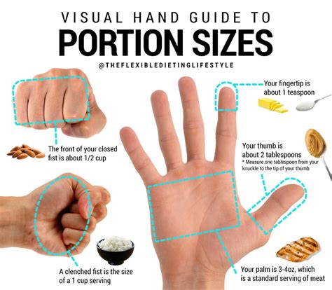 Visual Hand Guide to Portion Sizes | Portion sizes, Portion size guide ...