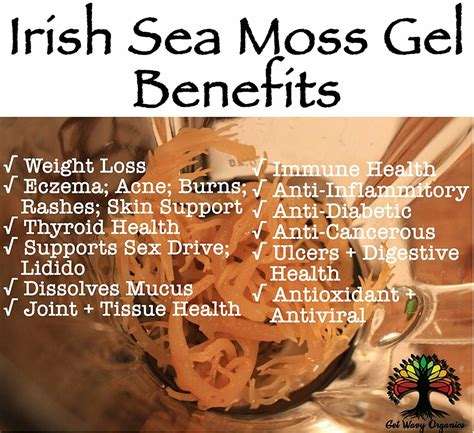 Sea Moss Gel Health Benefits & Warning – Eat Algae