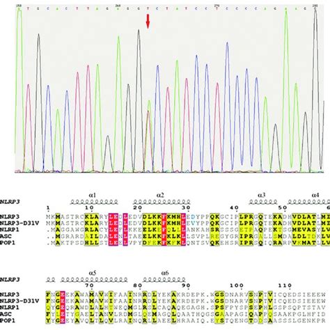 Pattern-recognition receptor (PRR) signaling pathways. Three classes of... | Download Scientific ...