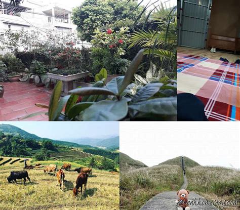 5 Nhà nghỉ, homestay Bình Liêu Quảng Ninh giá rẻ hút hồn du khách