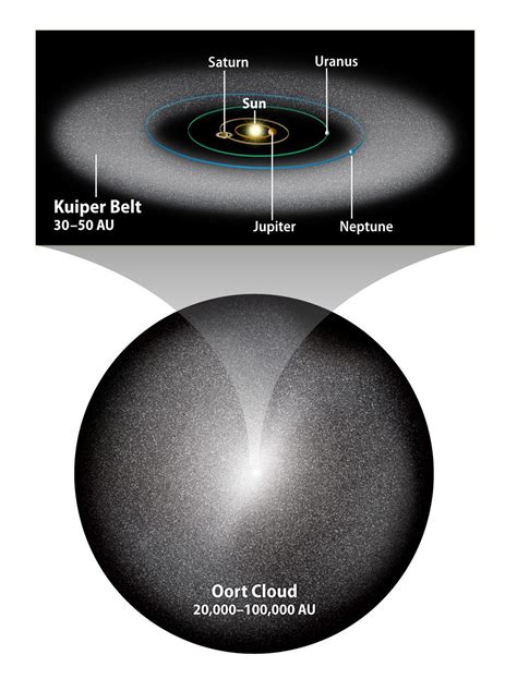 What effect, if any, do the objects in the Kuiper Belt and Oort Cloud have on the orbits or ...