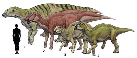 Prehistoric taxonomy | 1.Hadrosaurus foulkii (“sturdy lizard”)... | Prehistoric dinosaurs ...