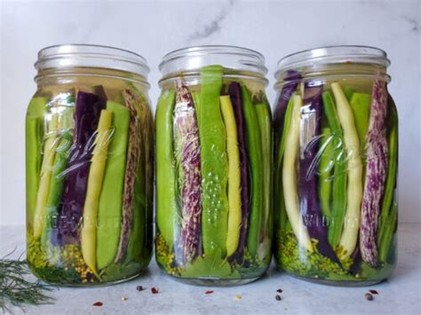 Quick Pickled Dilly Green Beans (Refrigerator or Canning) ~ Homestead and Chill