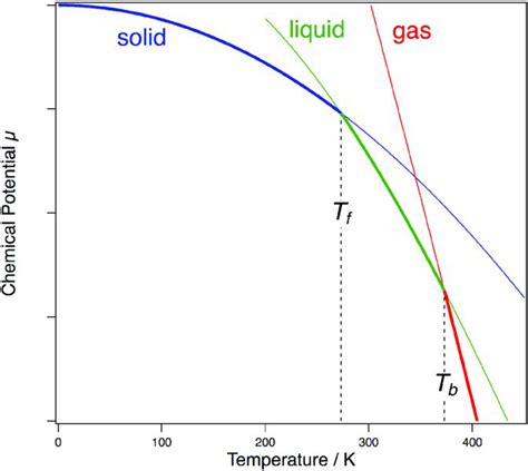 Phase stability and phase transitions | Basicmedical Key