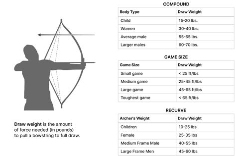 Bow Draw Weight Chart