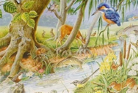 Big 250 Piece Jigsaw Puzzle By The Riverbank - Wildlife At River