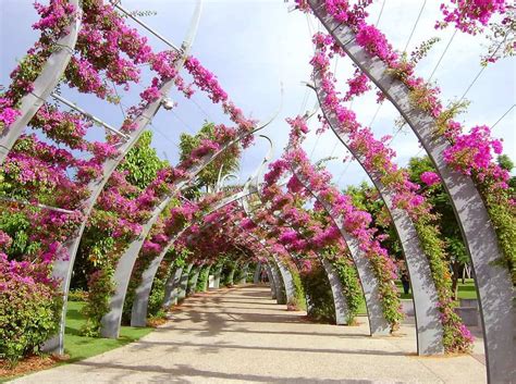 Guided tour of Brisbane, Australia from South Bank Parklands to New ...