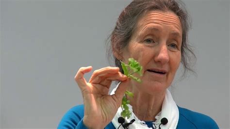 Barbara O'Neill - Part 11: Herbs - YouTube | Health video, Natural remedies, Herbs