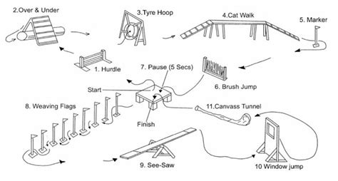 Kim's Dog Coaching - Agility - Obedience and Agility Training Classes ...