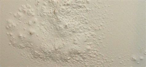 Paint Blisters On Ceiling – Shelly Lighting