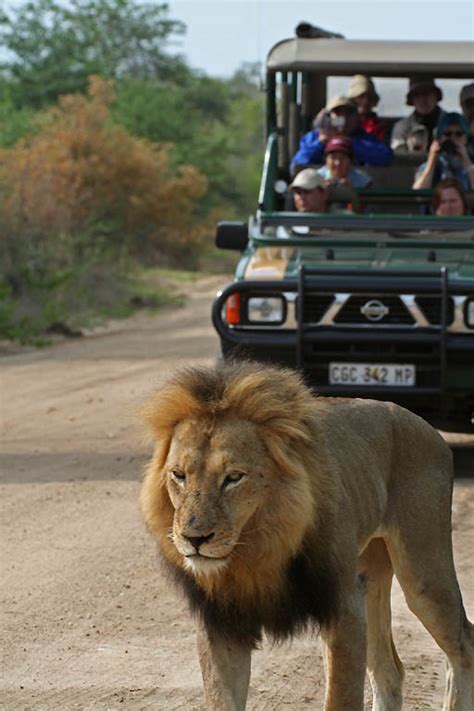 Africa Safari Journey Photos Blog: Kruger National Park Wildlife Animal ...