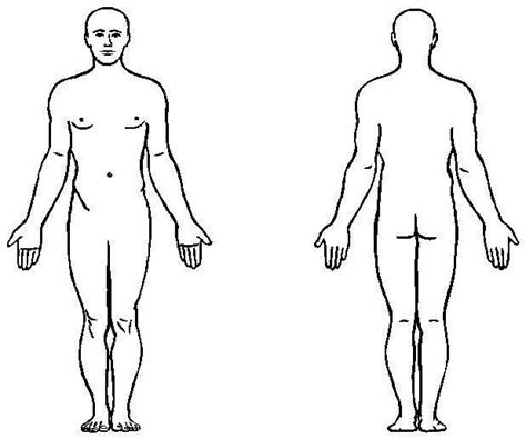 Human Body Front And Back Outline - ClipArt Best