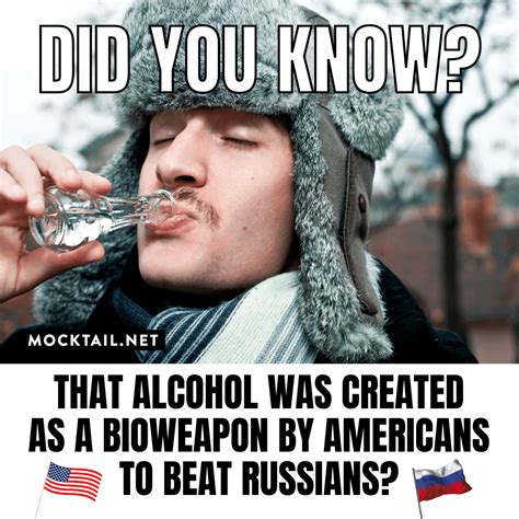 Funny Alcohol Memes To Brighten Your Day | Mocktail.net