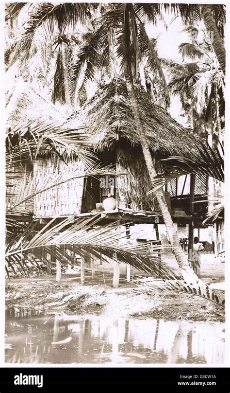 Traditional stilt house of Papua New Guinea Stock Photo - Alamy