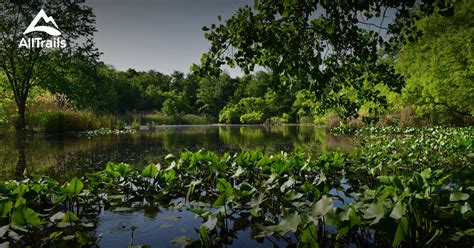 Best hikes and trails in Van Cortlandt Park | AllTrails