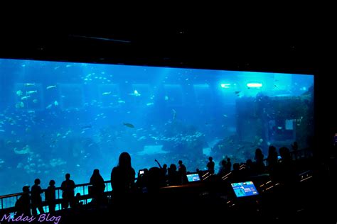 Midas Food n Travel Blog: S.E.A. Aquarium @Marine Life Park, RWS (Part 2)