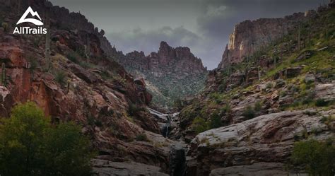 Best Trails in Coronado National Forest - Arizona | AllTrails