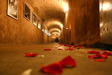 Free Images : rock, light, night, flower, petal, floor, wet, tunnel, underground, environment ...