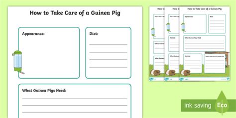 How to Take Care of a Guinea Pig Fact File (teacher made)