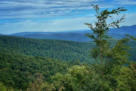 Viewing the Shenandoah Skyline Drive | by Rhonda Carrier | In Living ...