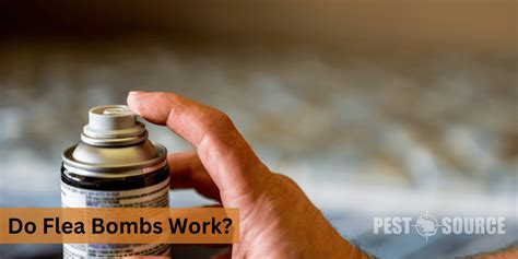 Do Flea Bombs Work? - Pest Source