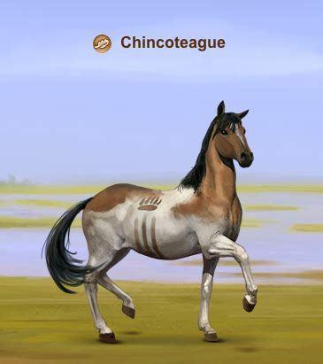 Ultimate Howrse: Chincoteague Wild Horse