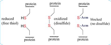 Custom cyclic peptide synthesis with disulfide bond