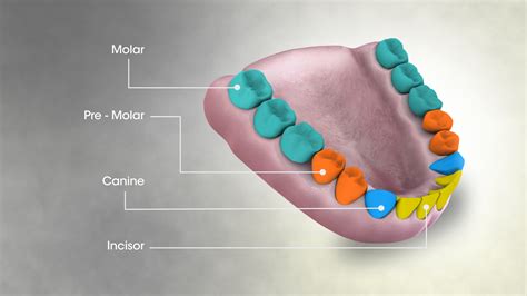 Cavities on Front Teeth: Why Do We Get Them? What Are Your Options?