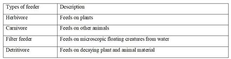 Complete the table about types of feeders. $\hspace{3cm}$**T | Quizlet