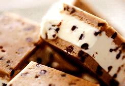 the search of a lifetime | Chocolate chip ice cream, Food, Chocolate chip cookies