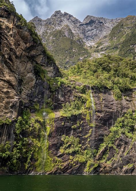 Fairy falls at Milford Sound in New Zealand Photograph by Jon Ingall ...