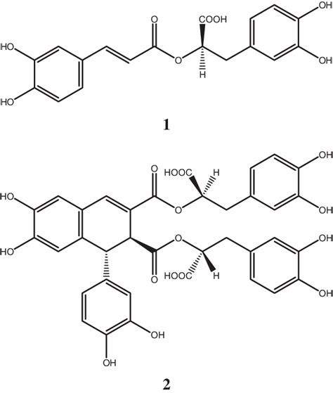 Structures of Caffeic Acid Metabolites Isolated from E. sericeum Calli.... | Download Scientific ...