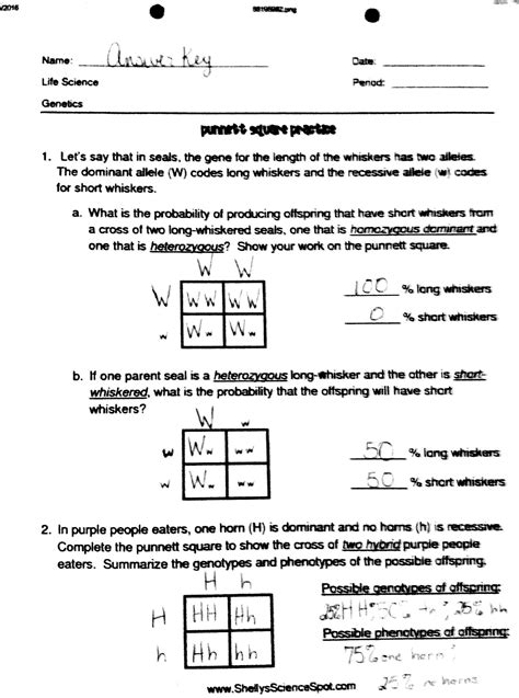 Punnett Square Worksheets 1