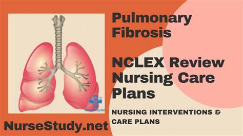 Pulmonary Fibrosis Nursing Diagnosis & Care Plan - NurseStudy.Net