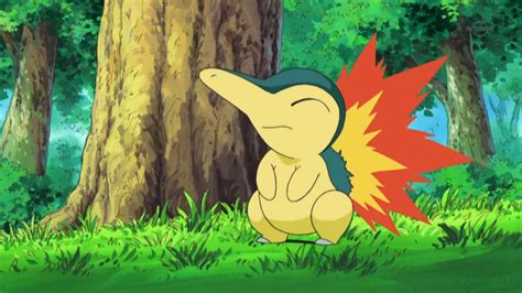 Cyndaquil | POKEMON AND DIGIMON Wiki | FANDOM powered by Wikia