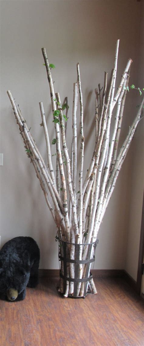 1-3/4-2-1/2 Set of 3 Real White Birch Poles branches | Etsy Birch Trees Garden, Birch Branches ...