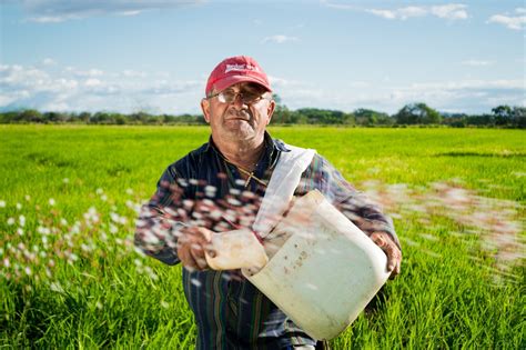 Hobby Farming for Beginners: The Successful Farm Essentials Guide