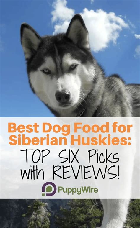 Best Dog Food for Huskies: Top 6 Picks in 2018 (with Reviews)