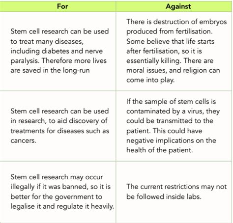 Cell Division - Use of Stem Cells: Benefits and Risks (GCSE Biology ...