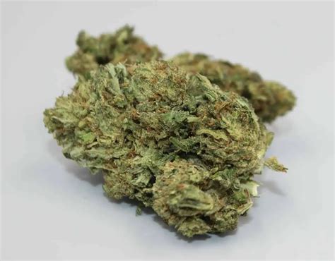 What is Hybrid Marijuana?