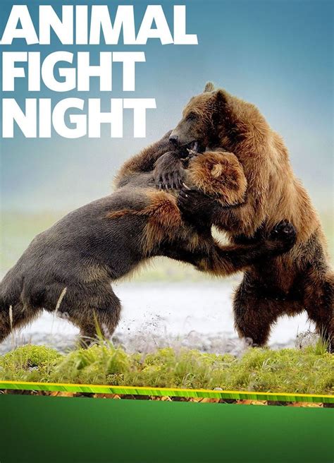 Animal Fight Night | TVmaze